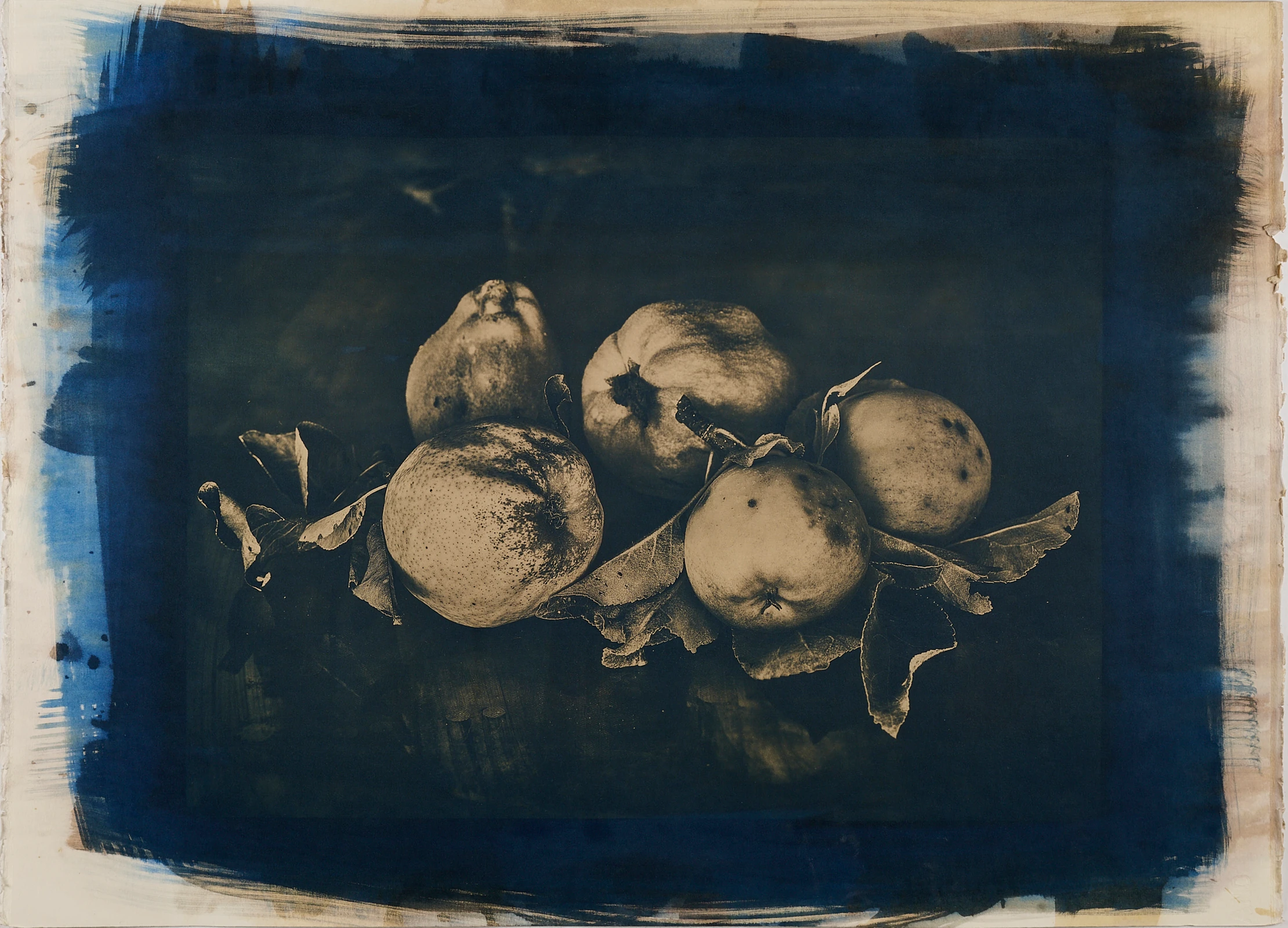 Still life 2